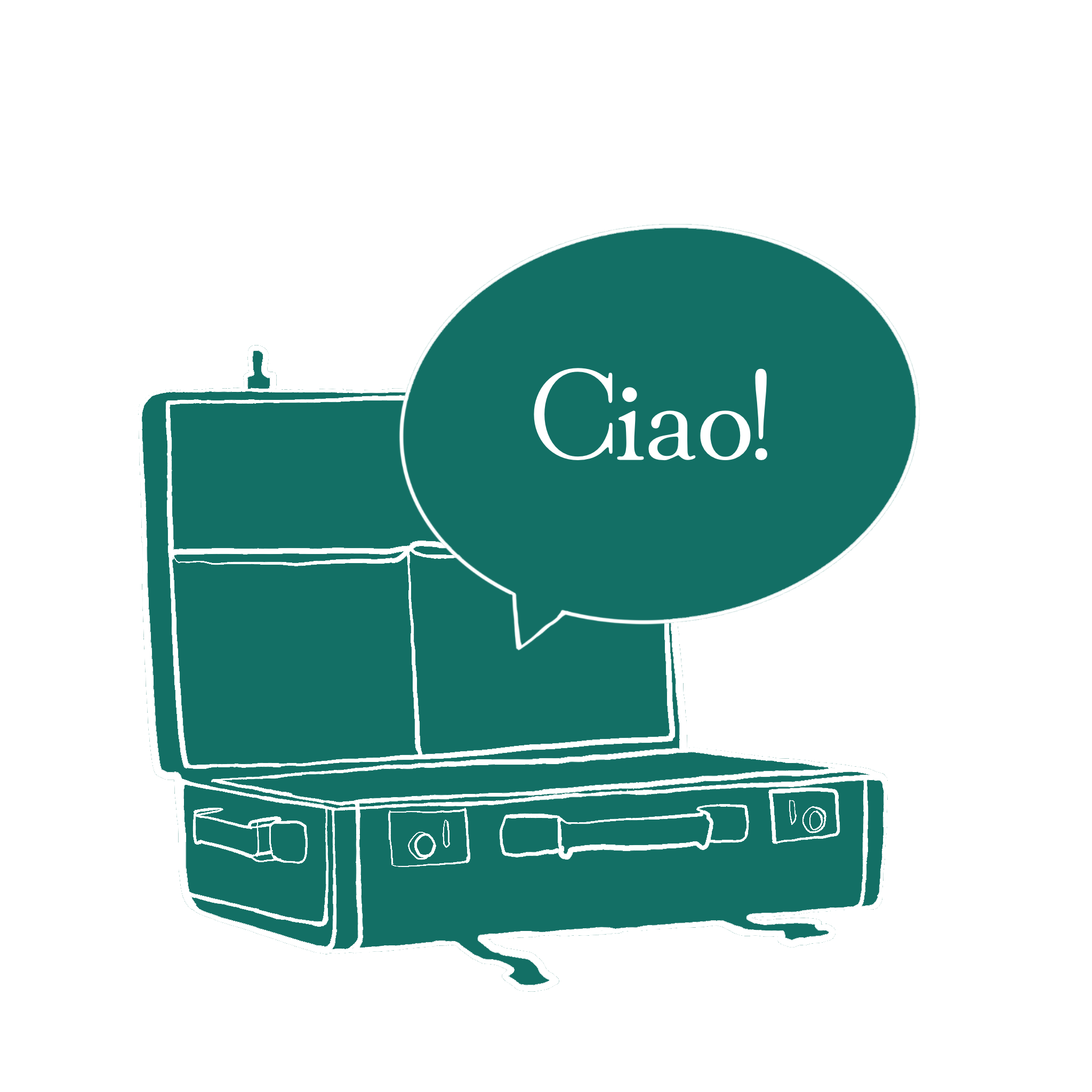 A travel suitcase